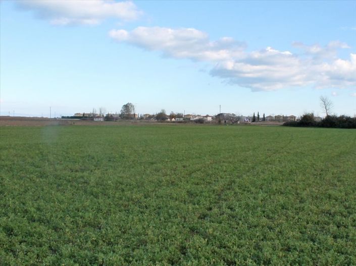 Image No.2-Terre à vendre à Katerini