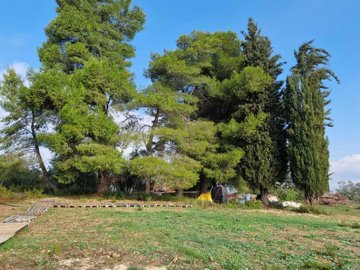 Photo 2 - Land 0 m² in Ionian islands