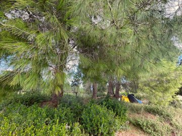 Photo 6 - Land 0 m² in Ionian islands