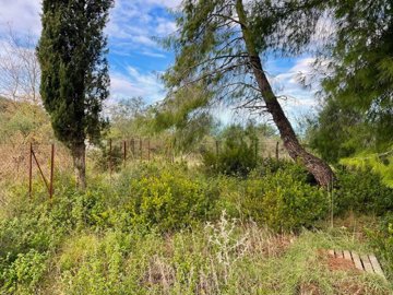 Photo 7 - Land 0 m² in Ionian islands