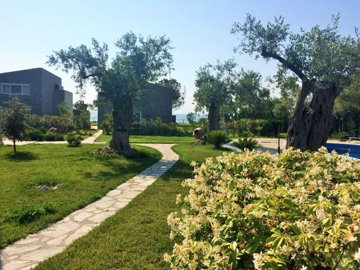 Photo 12 - Property 410 m² in Aegean islands