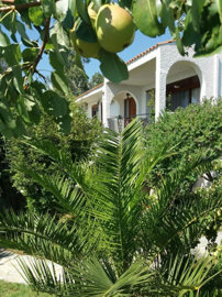 Photo 1 - Apartment 115 m² in Attica