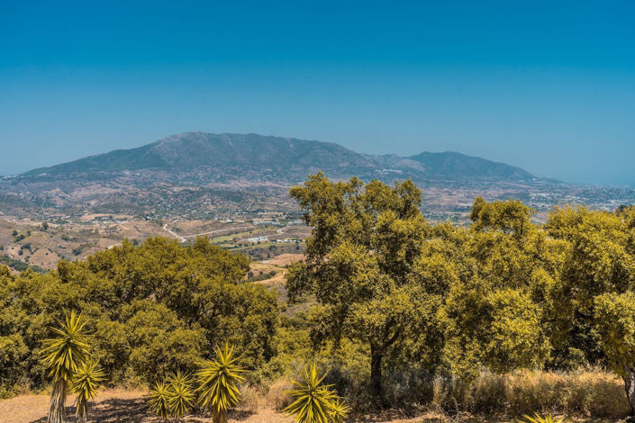 Image No.26-3 Bed Apartment for sale