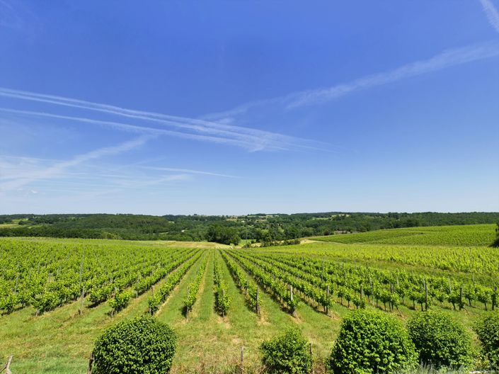 Image No.5-Maison de 9 chambres à vendre à Sainte-Foy-la-Grande