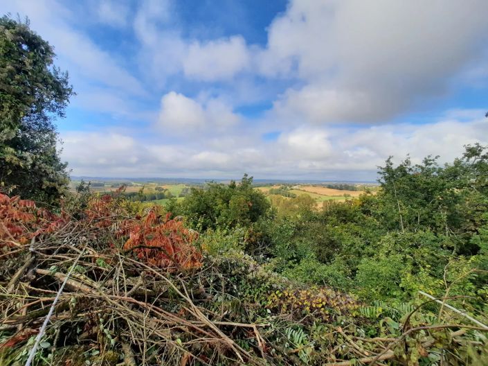 Image No.10-Maison à vendre à Montastruc