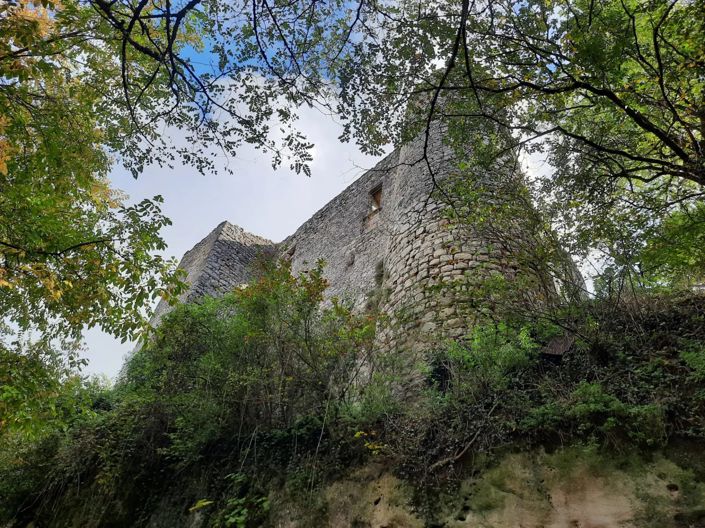 Image No.5-Maison à vendre à Montastruc