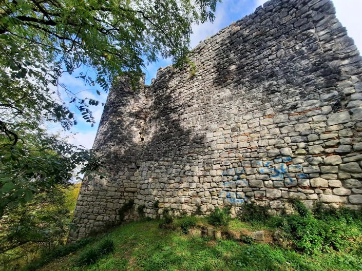 Image No.8-Maison à vendre à Montastruc