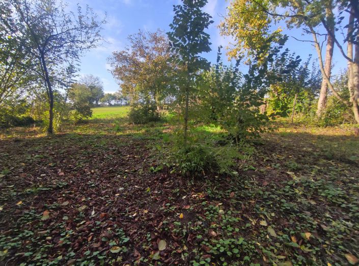 Image No.2-Grange à vendre à Le Busseau