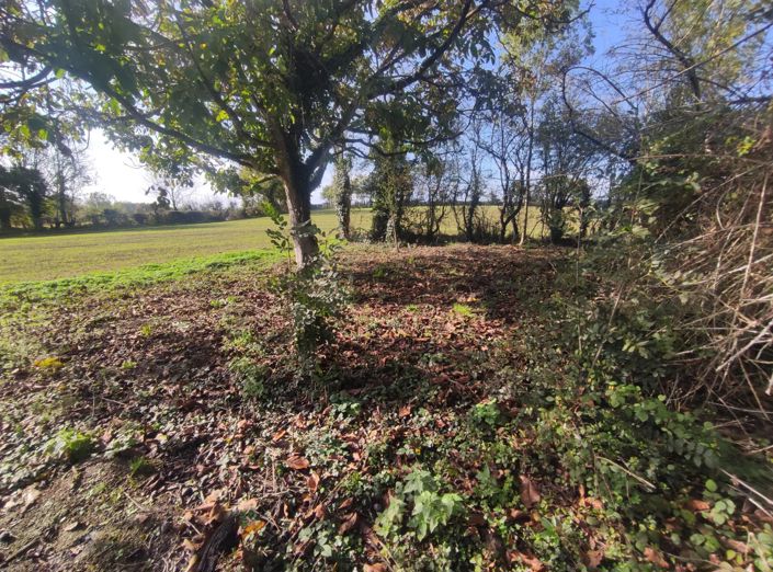 Image No.4-Grange à vendre à Le Busseau