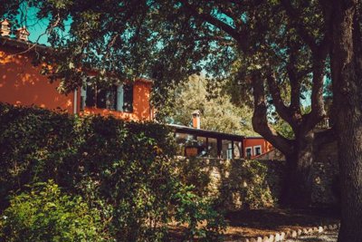 3e3014901f37afcd676cb7836db5bb3b33ef68a2a7120