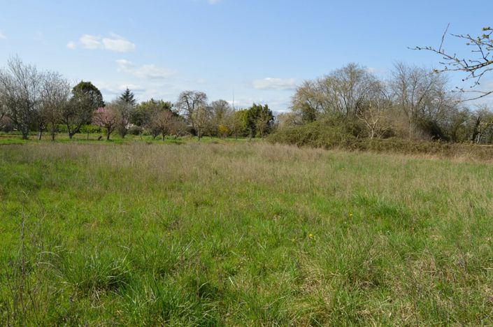 Image No.2-Property for sale