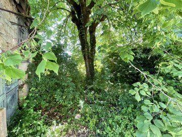 95509f4617afecfe5166d91390086ceb4208d891ba192