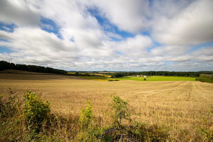 Image No.3-4 Bed House for sale