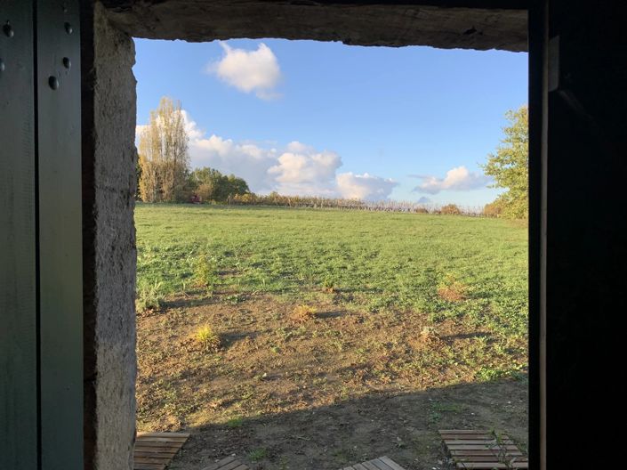 Image No.12-Maison de 4 chambres à vendre à Sauveterre-de-Guyenne