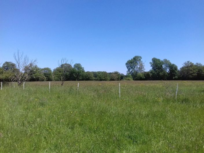 Image No.5-Maison de 4 chambres à vendre à Le Dorat