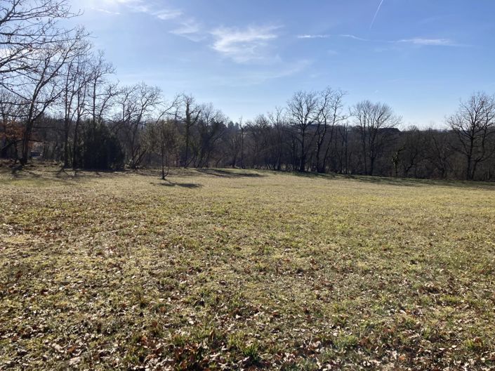 Image No.2-Propriété à vendre à Souillac