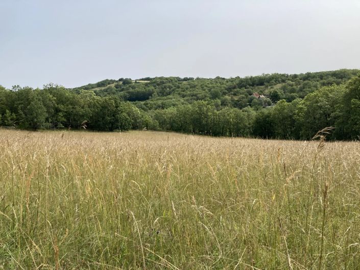 Image No.5-Maison de village de 5 chambres à vendre à Labastide-Murat