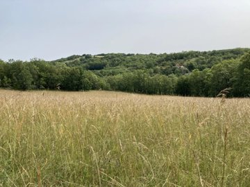 d9d31cf9e919ea44a3ad19069e923b8b3364466ba3192