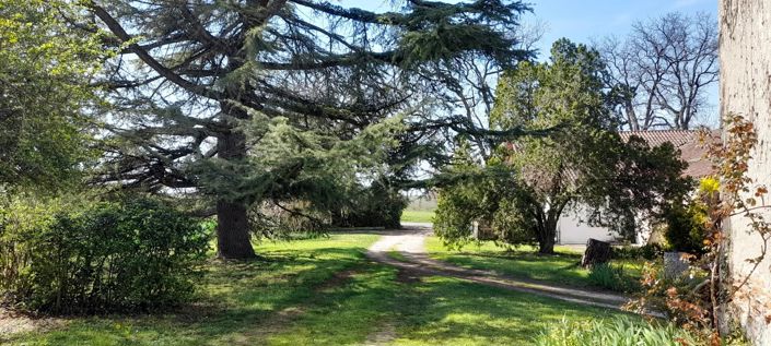 Image No.2-Maison de 7 chambres à vendre à Villeneuve-sur-Lot