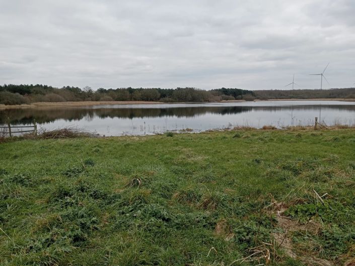 Image No.15-2 Bed House for sale