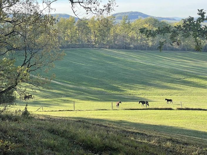 Image No.5-Maison de 7 chambres à vendre à Penne-d'Agenais