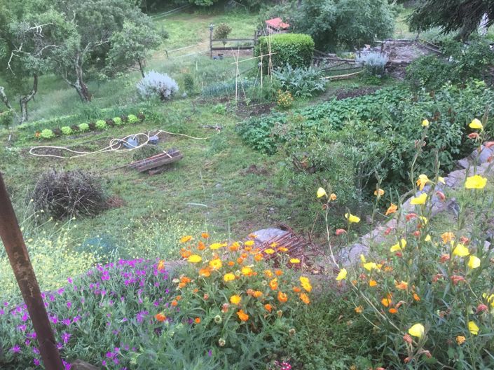 Image No.8-Maison de 8 chambres à vendre à Ria-Sirach