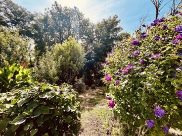 76988c0d9807202a842799f312baaa061c6d330172403