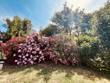 3f3bf5826acc54876442a46a56387def5a80a3dcbc403