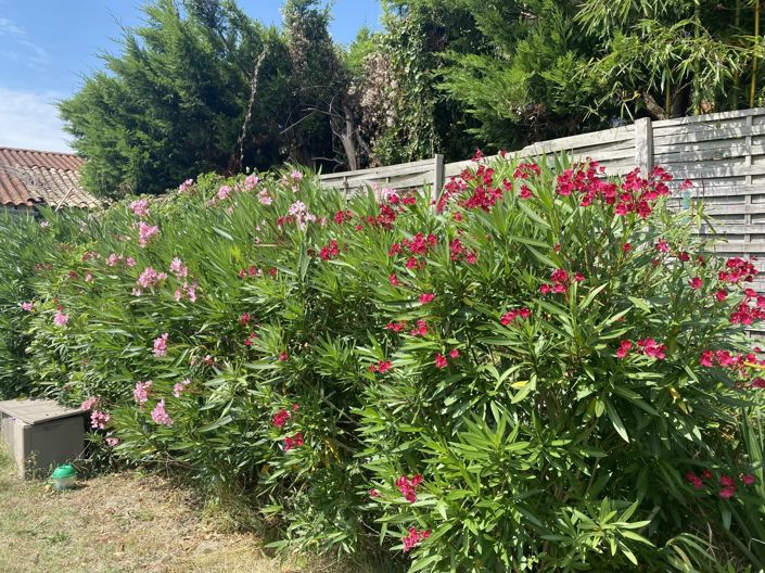 Image No.9-Maison de 4 chambres à vendre à Semoussac