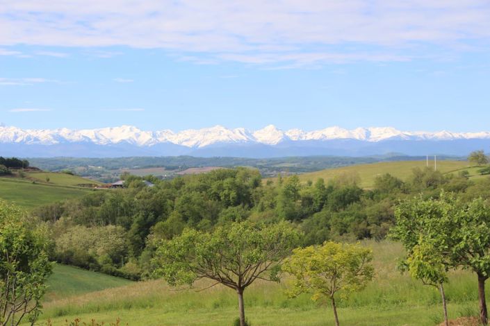 Image No.2-Maison de 7 chambres à vendre à Rieux-Volvestre