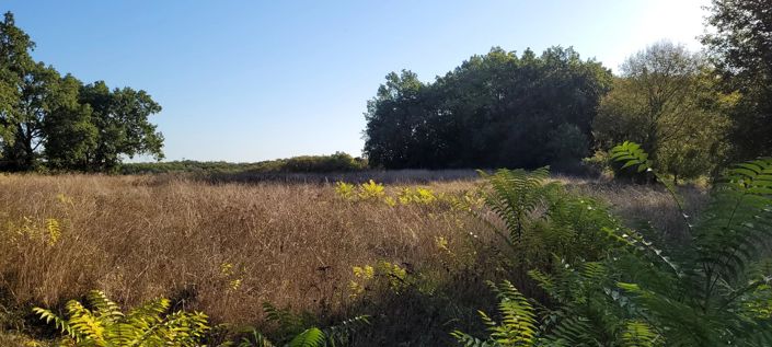 Image No.3-Property for sale