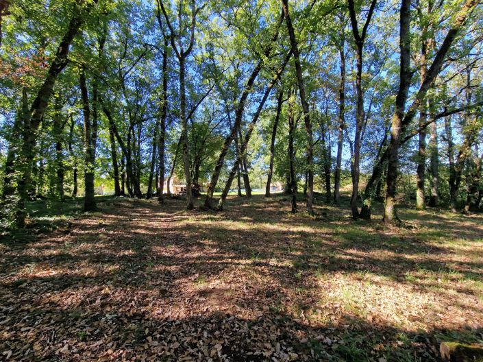Image No.14-Maison de village de 5 chambres à vendre à Bergerac