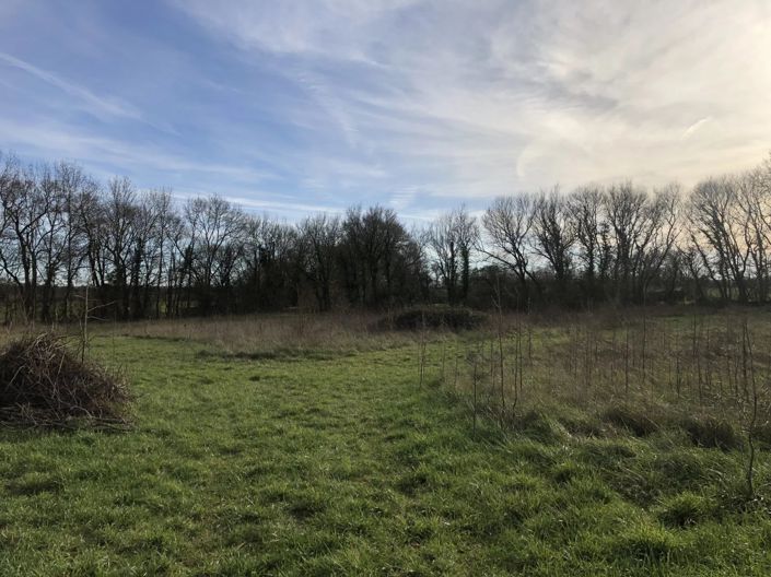 Image No.11-Maison à vendre à Longré