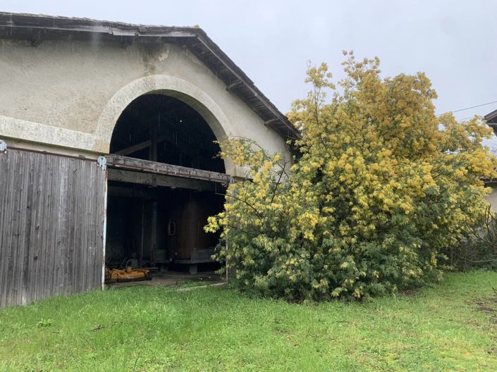 Image No.4-6 Bed House for sale