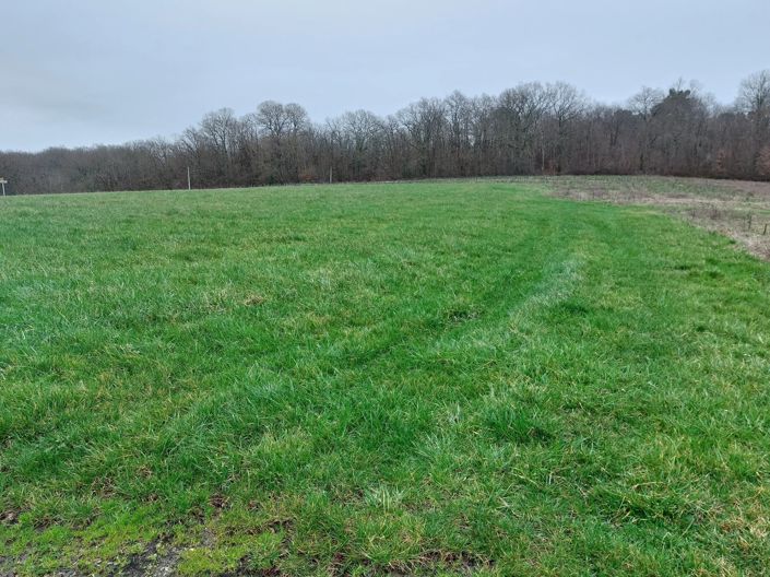 Image No.3-Propriété à vendre à Sainte-Colombe