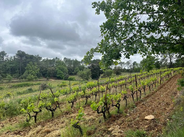 Image No.13-6 Bed House for sale