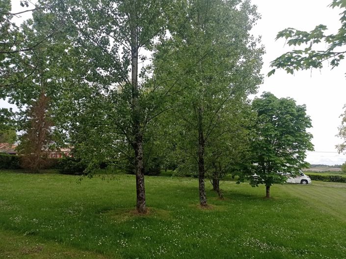 Image No.2-5 Bed House for sale