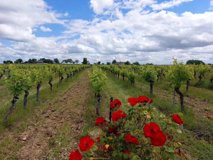 Image No.2-Maison de 9 chambres à vendre à Cordes-sur-Ciel