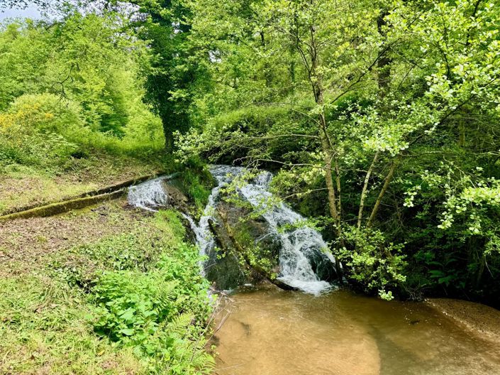 Image No.3-Maison de 4 chambres à vendre à Rieupeyroux