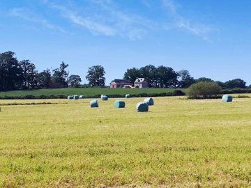 35e9e487986d5aab998199fe5aa58cc5f7f41924ed160