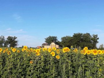 57e9597b76ca9d57f0acc0451fa9d9df3863ad1fe7128