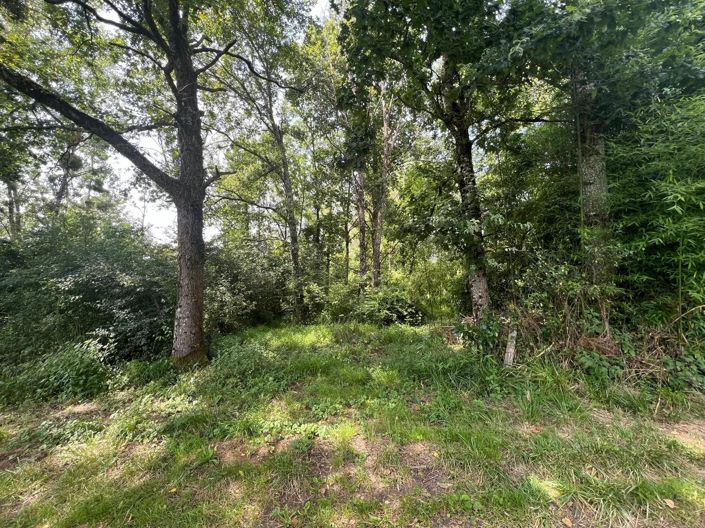 Image No.2-Property for sale