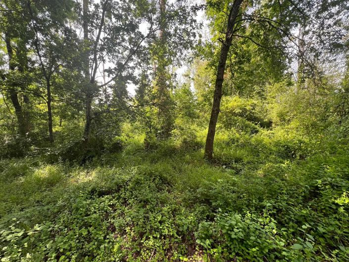 Image No.4-Property for sale