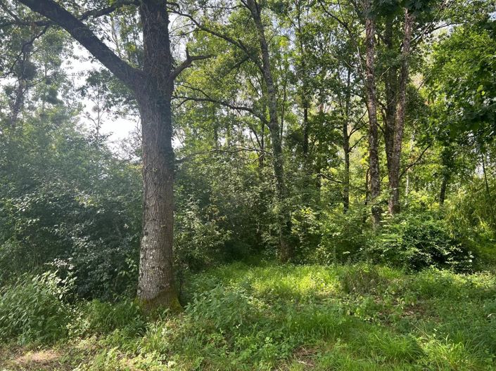 Image No.5-Property for sale