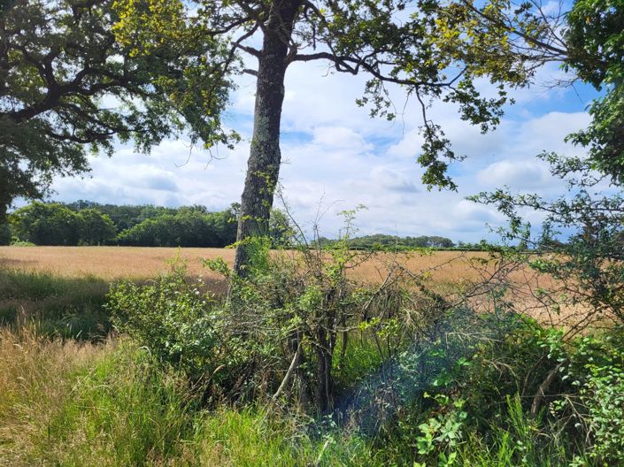 Image No.5-Property for sale