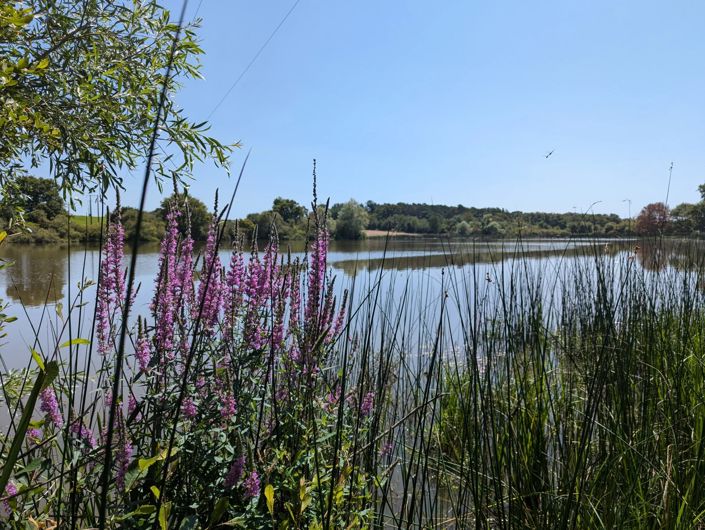 Image No.15-Maison de 9 chambres à vendre à La Puye