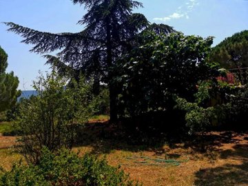 1d3e277f9cd34ba9dfca68fdfd71b97cb351661003912