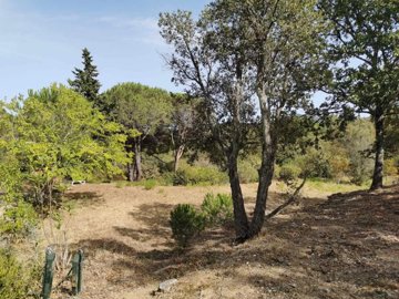 84bf11c34c2c7b2cd0479c073f694d634f2879a2f0182