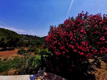 376ac595095436fd9f31ff09b064610915444be54a960