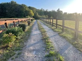 Image No.13-Maison de 3 chambres à vendre à Charente